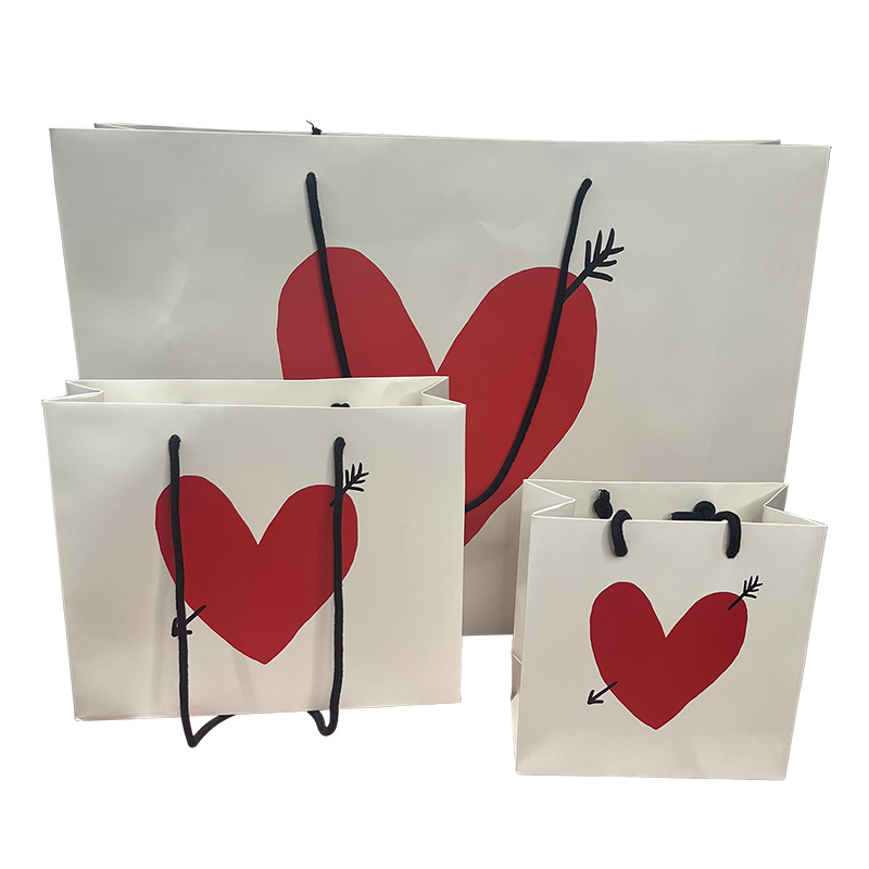 Custom Paper Gift Bags with Logo| Gift Paper Bag Design Factory