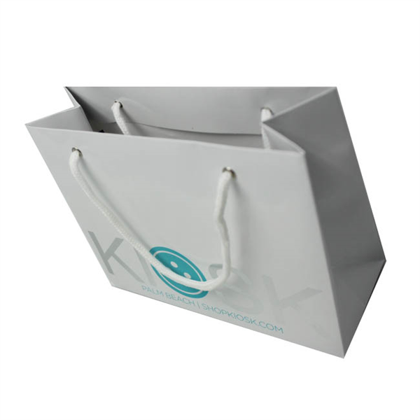 Cotton Rope Handle Custom Color Printed Paper Bags With Logo