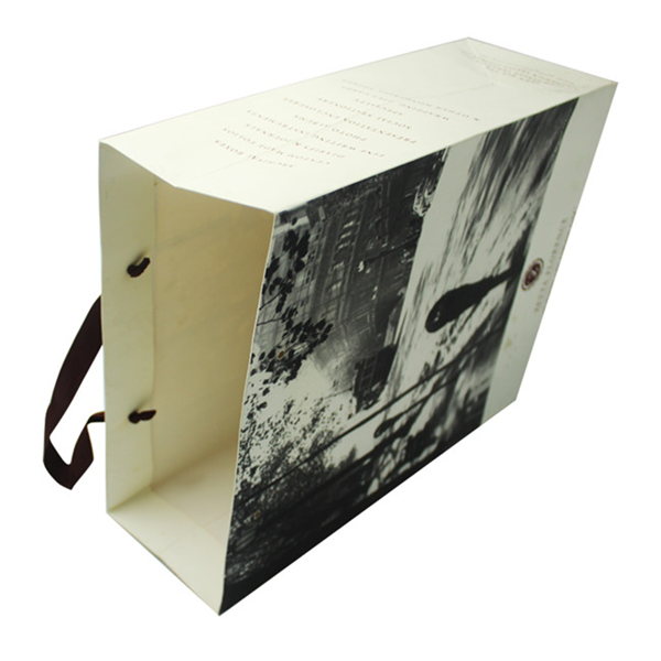 Luxury Shopping Paper Bag with Handle For Clothes