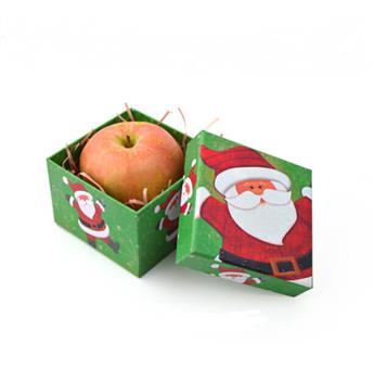 Custom printing box manufacturer,Christmas gift box supplier