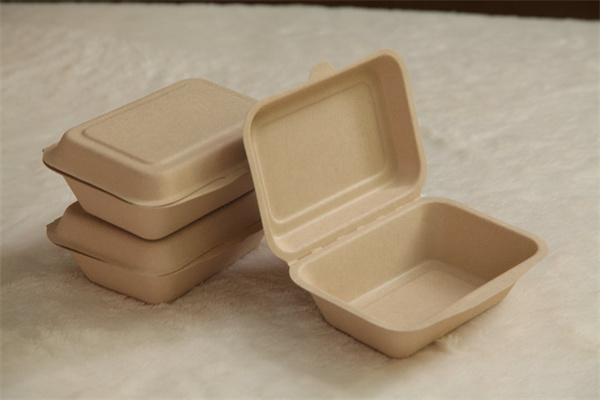 Bagasse Food Boxes