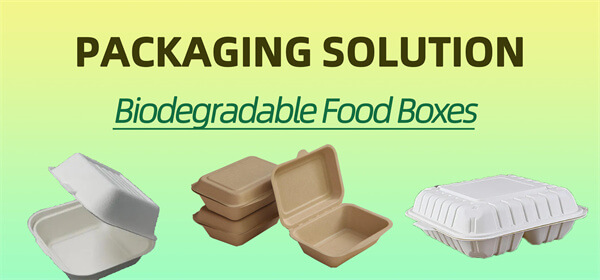 iodegradable-food-box