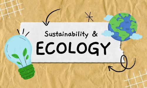 eco-packaging