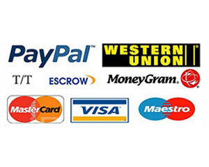 Multiple Payment Methods