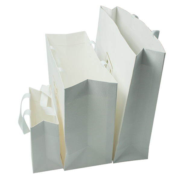 fancy-paper-bag4