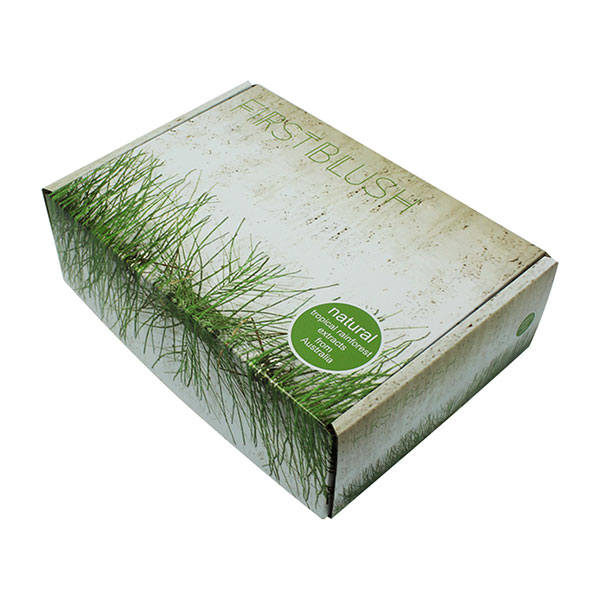 Full Color Printing Corrugated Paper Box for Shipping Purpose 04