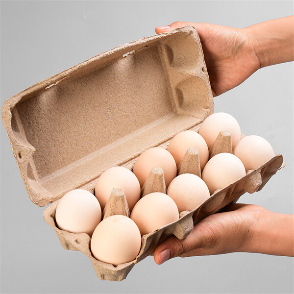 molded pulp packaging for egg
